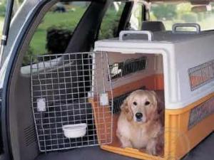 物流网宠物托运